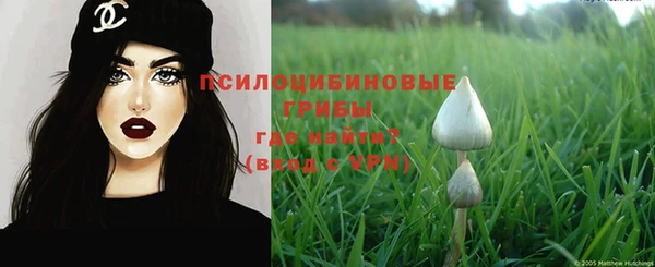 каннабис Беломорск