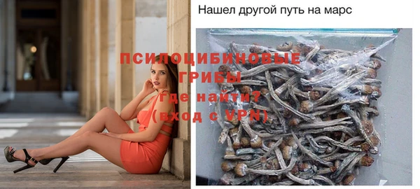 гашиш Богородицк