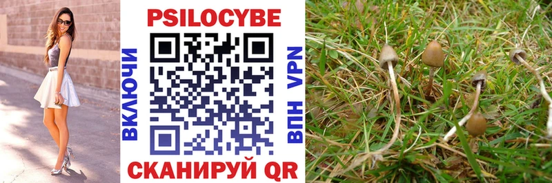 закладки  Волхов  Псилоцибиновые грибы Magic Shrooms 